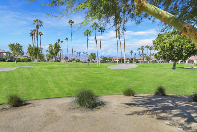 Image 30 of 33 For 78347 Terra Cotta Court