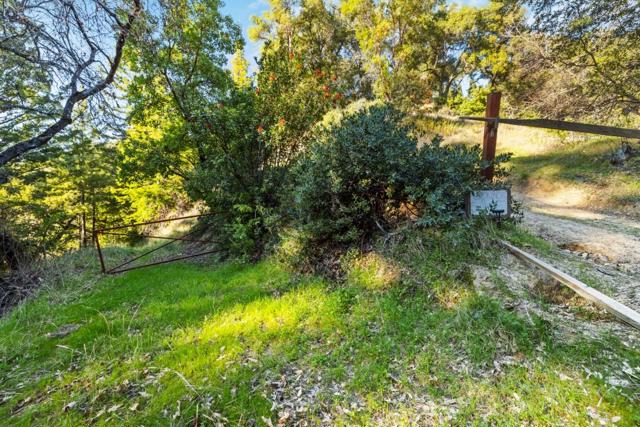 0 Hartman Creek, Boulder Creek CA: https://media.crmls.org/mediaz/6cb8ed3e-f71d-4154-988b-2a3d2654c7af.jpg