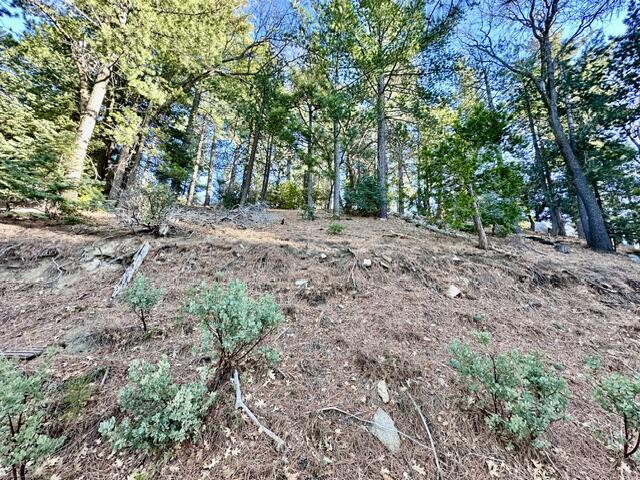 0 Green Craig, Idyllwild CA: https://media.crmls.org/mediaz/6cb97cfe-78b7-4bda-bcbb-5745c182b458.jpg