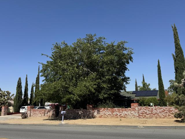 7585 Joshua Lane, Yucca Valley CA: https://media.crmls.org/mediaz/6cc5cb39-bdf5-4678-8e1b-91cb947846b1.jpg
