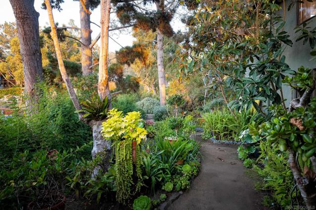 364 Bellaire Street, Del Mar CA: https://media.crmls.org/mediaz/6cccfee9-8f0b-405c-9c94-bfcc75c79c41.jpg