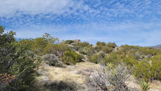0 Palace Drive, Mountain Center CA: https://media.crmls.org/mediaz/6cd22487-c12f-4fba-a861-971a8e50dbfc.jpg