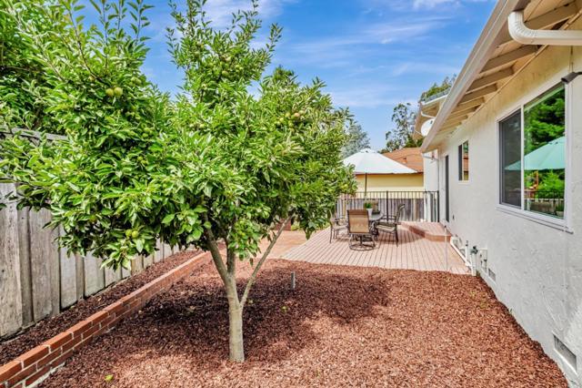 239 Segre Place, Santa Cruz CA: https://media.crmls.org/mediaz/6cd73f79-62a3-40c1-801d-42899b05e23b.jpg
