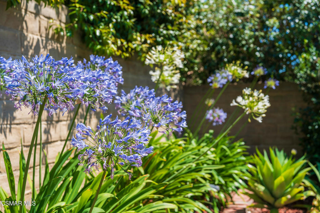 https://media.crmls.org/mediaz/6ce112c7-3053-488d-a7ff-a5359169c6c8.jpg?preset=X-Large