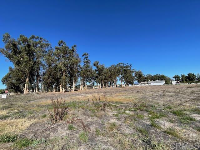 315 Hunter Street, Ramona, California 92065, ,Land,For Sale,315 Hunter Street,CRPTP2306119