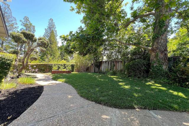 211 Arthur Ct, Danville CA: https://media.crmls.org/mediaz/6cf26410-4c03-498b-81f0-5297c2a9a664.jpg