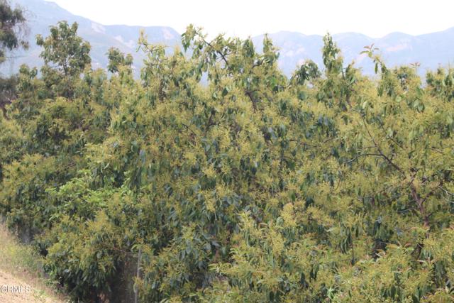 Detail Gallery Image 2 of 33 For 0 Camulos St, Piru,  CA 93040 - – Beds | – Baths