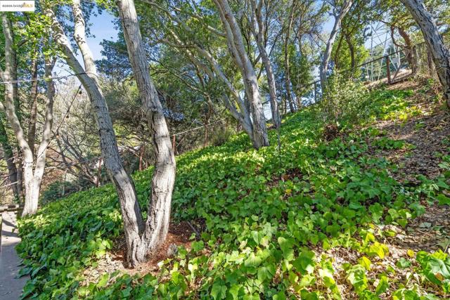 Image 35 of 37 For 1633 Trestle Glen Rd