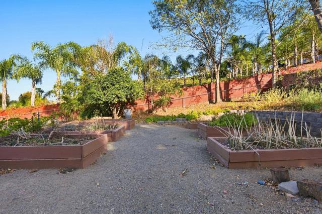 1521 Donita Dr, Casa de Oro-Mount Helix, CA 92020 photo 46