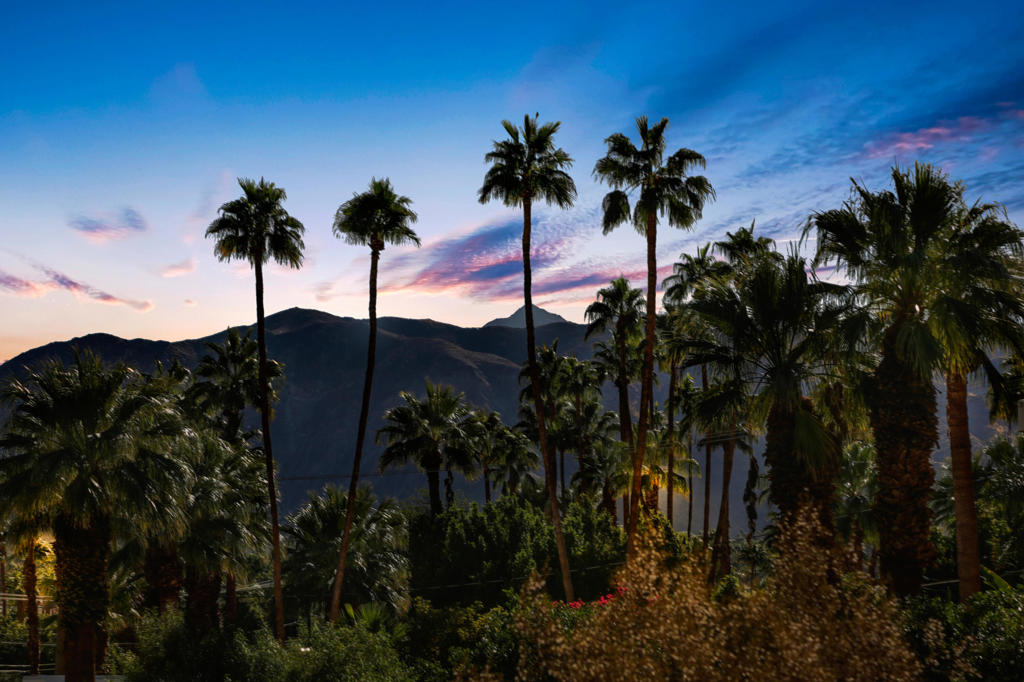 MLS #219131556PS image #29