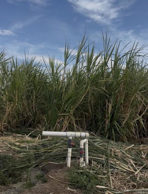 Detail Gallery Image 30 of 30 For 2310 W Highway 86 Rd, Brawley,  CA 92227 - 3 Beds | 2 Baths