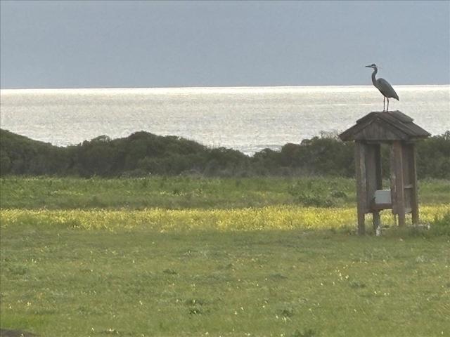 1263 Reservoir Road, Pescadero CA: https://media.crmls.org/mediaz/6d0b63c9-136b-4e84-9898-86870a188017.jpg