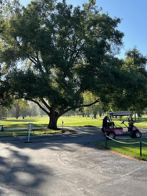 7302 Via Granja, San Jose CA: https://media.crmls.org/mediaz/6d10bce8-0f88-4b37-a663-d73d82ce041f.jpg