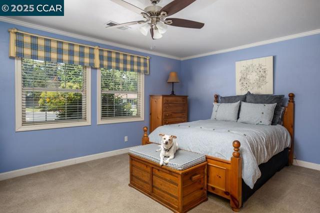 506 Shelly Dr, Pleasant Hill CA: https://media.crmls.org/mediaz/6d1e10a6-2f59-4dcf-b1e9-7a58795a83d9.jpg