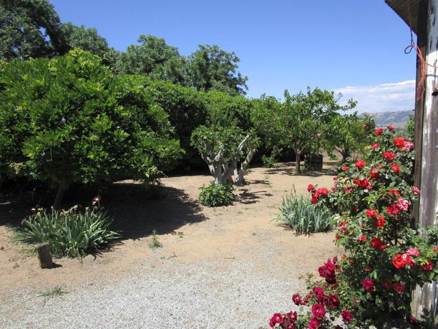 2025 Pacheco Pass Highway, Gilroy CA: https://media.crmls.org/mediaz/6d204f97-5fff-4f87-8fbc-623a0a043dd5.jpg