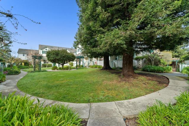 120 Claremont Terrace, Santa Cruz CA: https://media.crmls.org/mediaz/6d23eb87-1bd7-4936-bc8e-487705b4070f.jpg