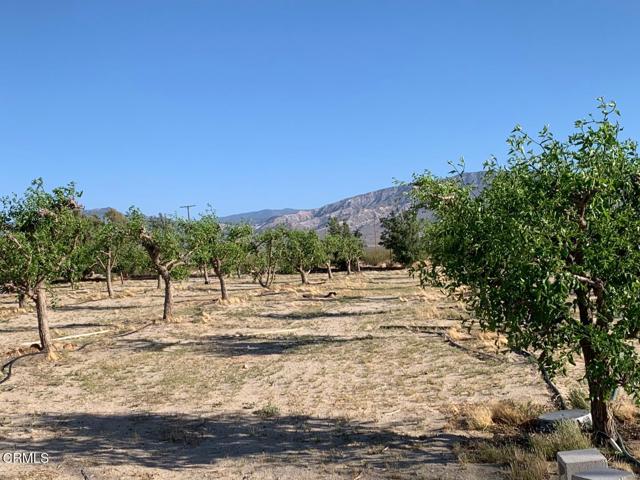Detail Gallery Image 2 of 10 For 10424 Santa Fe Fire Rd, Lucerne Valley,  CA 92356 - 3 Beds | 3 Baths