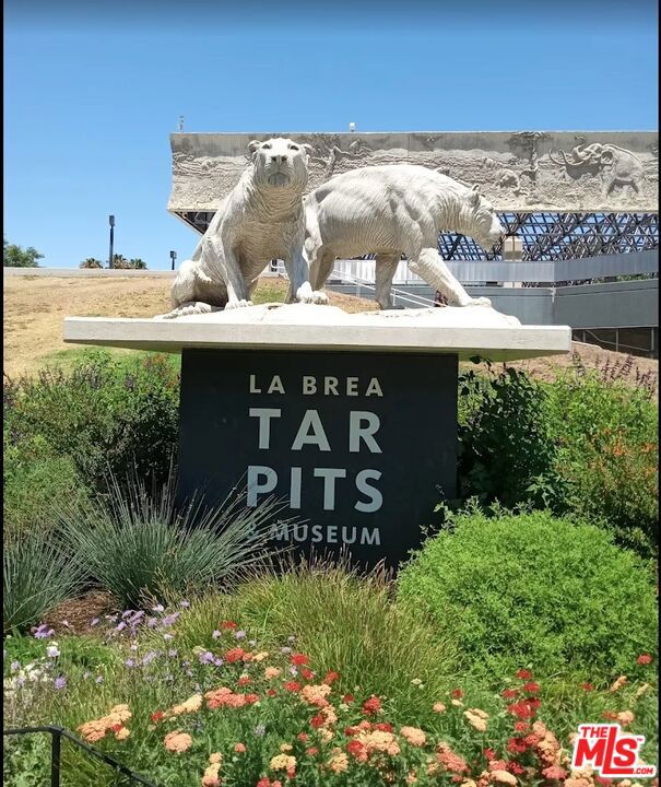 1280 S Sycamore Avenue, Los Angeles CA: https://media.crmls.org/mediaz/6d36510c-8ce5-4054-8628-afe88485e31a.jpg