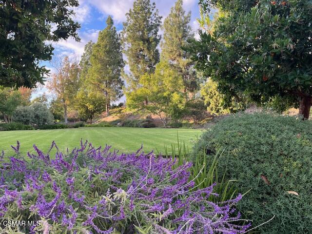 3011 Marigold Place, Thousand Oaks CA: https://media.crmls.org/mediaz/6d37ca74-101a-4696-83f4-f66799dc5842.jpg