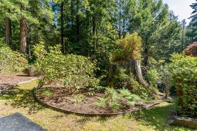 Detail Gallery Image 42 of 42 For 33100 Frog Pond Rd, Little River_1,  CA 95456 - 3 Beds | 3 Baths