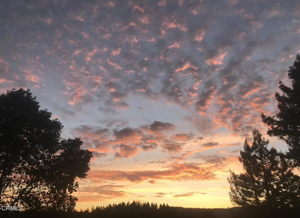 https://media.crmls.org/mediaz/6d4cd4ae-0db7-4113-ba14-153b05aec312.jpg?preset=X-Large