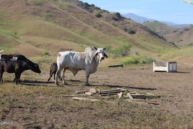 0 Dickenson Road, Santa Paula CA: https://media.crmls.org/mediaz/6d5e3516-42b1-42b6-9c36-4d99fe8e5bab.jpg