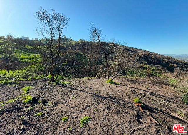 0 Fir Ridge Drive, Topanga CA: https://media.crmls.org/mediaz/6d5e4e4c-88e9-4108-a03b-b1e068bdec48.jpg