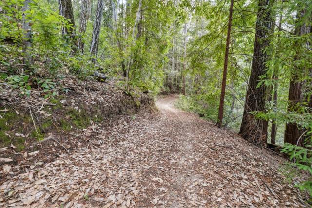 1365 Caledonia Avenue, Ben Lomond CA: https://media.crmls.org/mediaz/6d5e51ab-a111-4471-a24c-2beaea82cf7a.jpg