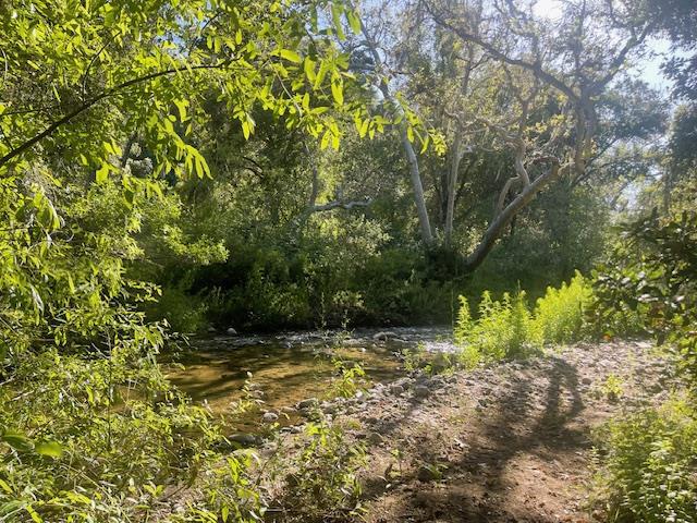 20215 Cachagua Road, Carmel Valley CA: https://media.crmls.org/mediaz/6d61aeca-3773-4e53-a8e3-2b6b275197fe.jpg