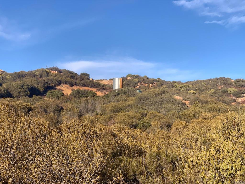 MLS #PTP2506313 image #24