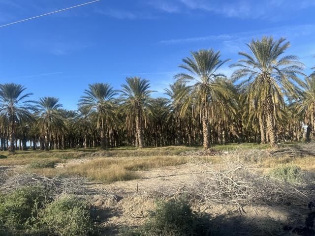 0 Nwc Pierce St & Ave 64, Thermal CA: https://media.crmls.org/mediaz/6d64d945-dda6-4251-8372-f3c0f9c81c5c.jpg
