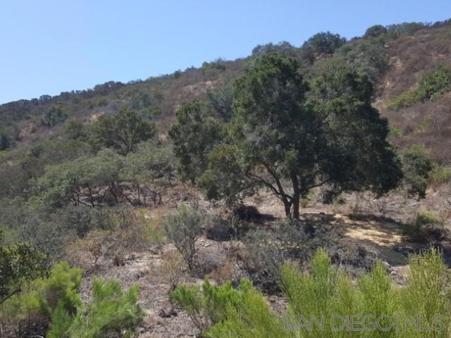 8209 Mesa Rd, Santee CA: https://media.crmls.org/mediaz/6d6605bb-3037-40ff-b1ec-b239aaf03f0e.jpg