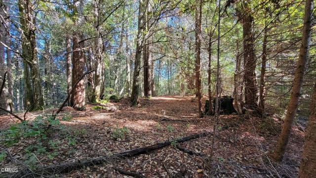 Detail Gallery Image 15 of 15 For 12301 Docker Hill Rd, Comptche,  CA 95427 - – Beds | – Baths