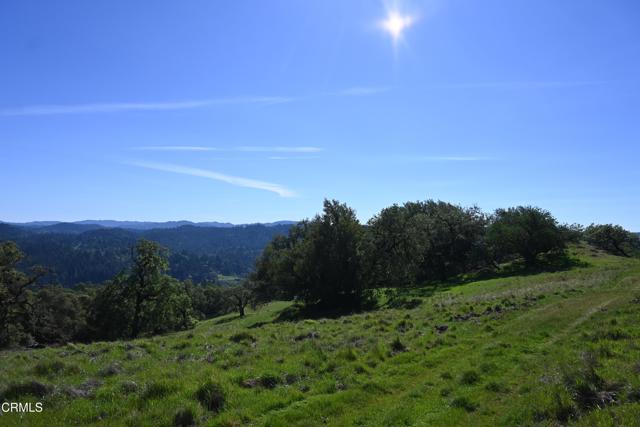 Detail Gallery Image 35 of 59 For 24051 Fig Tree Ln, Yorkville,  CA 95494 - – Beds | – Baths