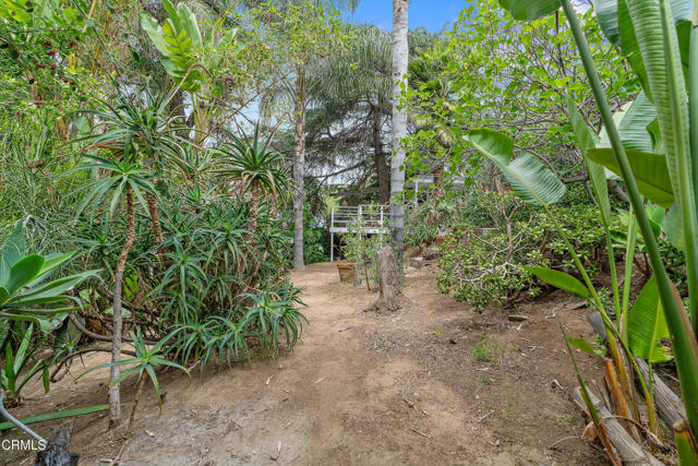 1949 Preston Avenue, Los Angeles CA: https://media.crmls.org/mediaz/6d78114a-9e1a-4f6e-abcf-f64c73ece036.jpg
