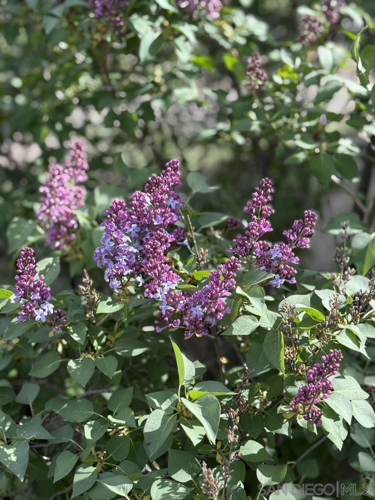 https://media.crmls.org/mediaz/6d793fc3-15cd-4b75-ad31-19d32aed9611.jpg?preset=X-Large