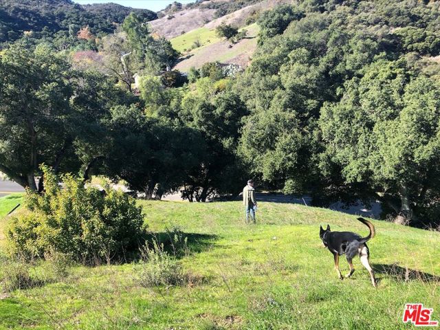 3330 Old Topanga Canyon Road, Topanga CA: https://media.crmls.org/mediaz/6d7e95d1-8d0b-4779-8a5e-bac2f5864c06.jpg