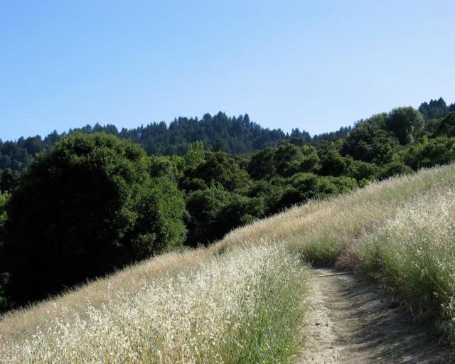 102 Santa Maria Avenue, Portola Valley CA: https://media.crmls.org/mediaz/6d7ef45d-c1d8-47bf-bcc5-c733edc48ff0.jpg