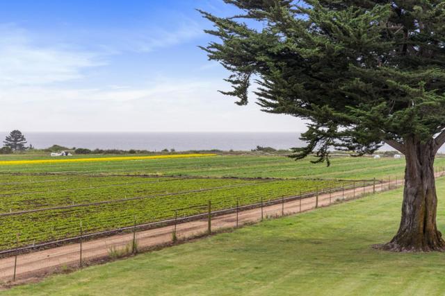 230 Via Novella, Aptos CA: https://media.crmls.org/mediaz/6d81de21-faa6-43e9-b7af-434cb9f7a7f0.jpg