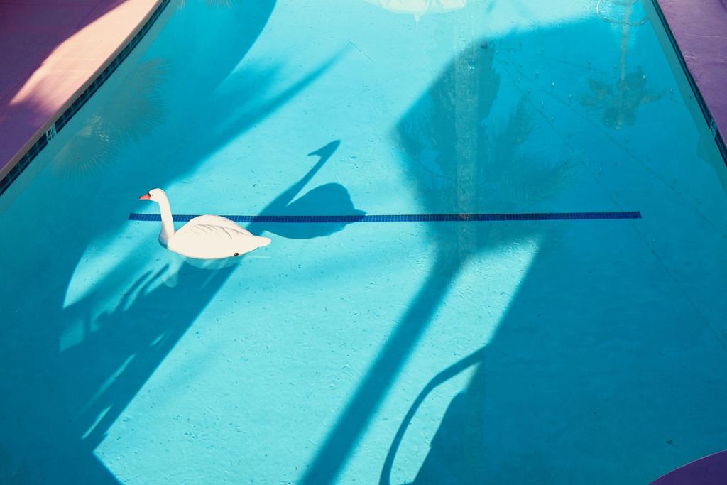 MLS #219133094PS image #83