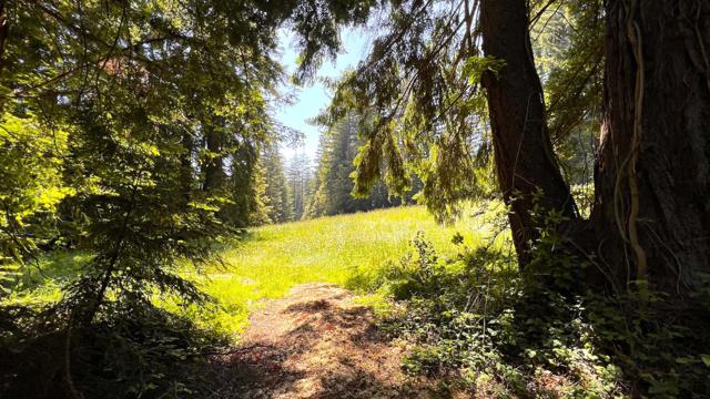 3675 Bonny Doon Road, Santa Cruz CA: https://media.crmls.org/mediaz/6d82543d-d97a-418a-8cf8-d55fa3383aa5.jpg