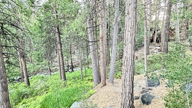 25655 Tahquitz Drive, Idyllwild CA: https://media.crmls.org/mediaz/6d82f762-6a0b-4e87-b069-21b5848ad665.jpg