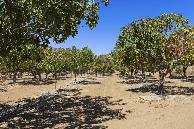 Detail Gallery Image 56 of 61 For 115 Quatal Canyon Rd, Maricopa,  CA 93252 - 3 Beds | 0 Baths