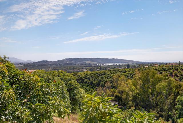 Detail Gallery Image 48 of 72 For 6150 Baja Vista Dr, Somis,  CA 93066 - 7 Beds | 5/2 Baths