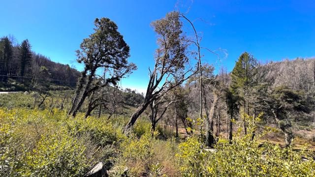 11035 Empire Grade, Santa Cruz CA: https://media.crmls.org/mediaz/6da32dcb-2b49-4b0b-b109-be7bb9c976e7.jpg