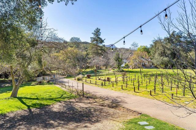 Detail Gallery Image 32 of 36 For 14671 Mussey Grade Rd, Ramona,  CA 92065 - 9 Beds | 6 Baths