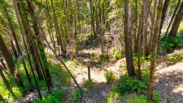 3 Bloom Grade, Boulder Creek CA: https://media.crmls.org/mediaz/6db0352e-e2ef-4583-97cc-e1ee4515d022.jpg