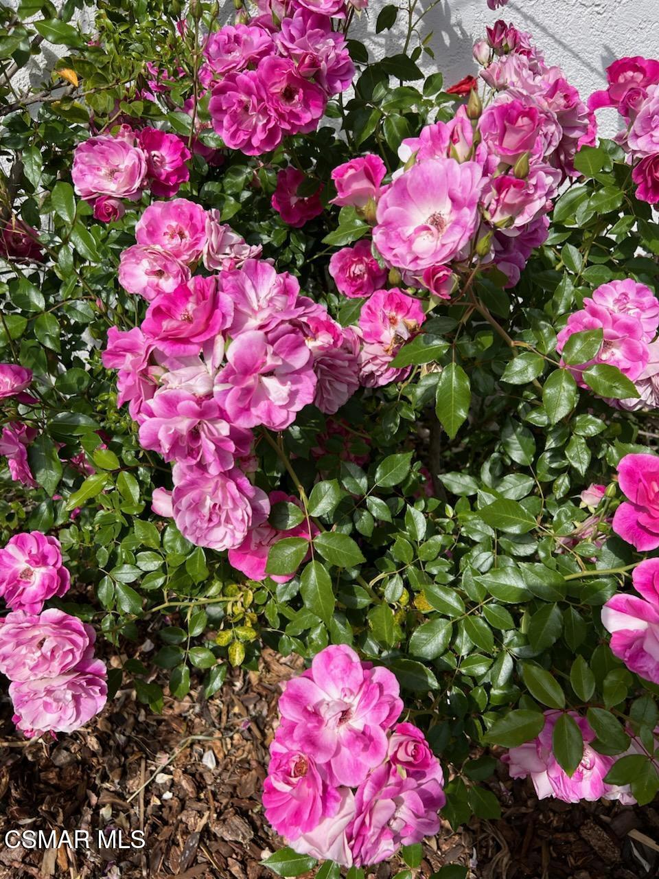 https://media.crmls.org/mediaz/6db19ecc-0291-4b33-b655-04325e47fcca.jpg?preset=X-Large