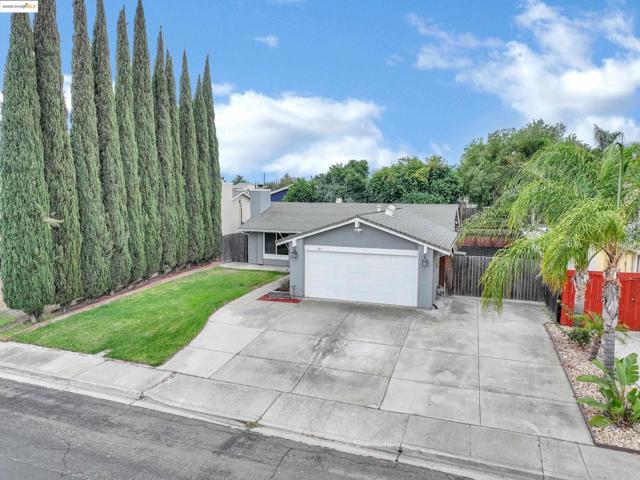 317 Lorenz Dr, Oakley CA: https://media.crmls.org/mediaz/6db799a8-fde3-4d70-810e-a1b96ca2237f.jpg
