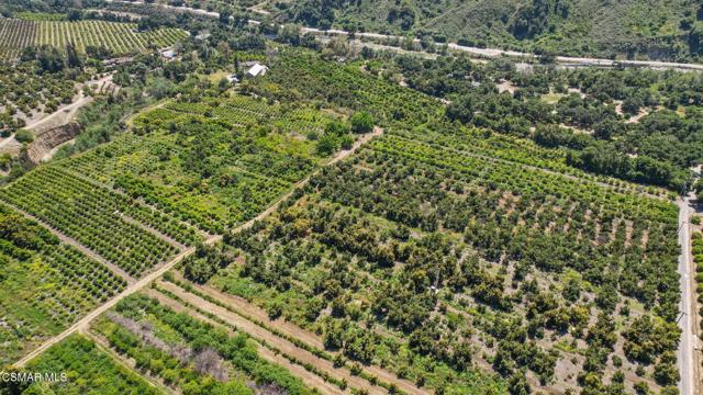 5682 Pine Grove Road, Santa Paula CA: https://media.crmls.org/mediaz/6dba48ad-e287-47ef-ad69-878bd69207df.jpg